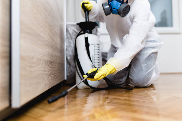 Best Local Pest Control Services  in Paradise, NV