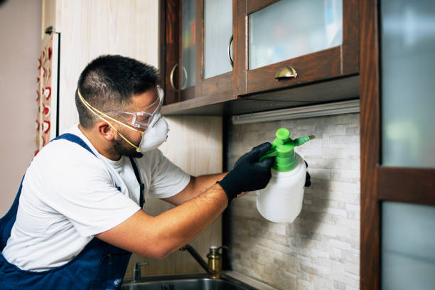 Best Pest Control Near Me in Paradise, NV