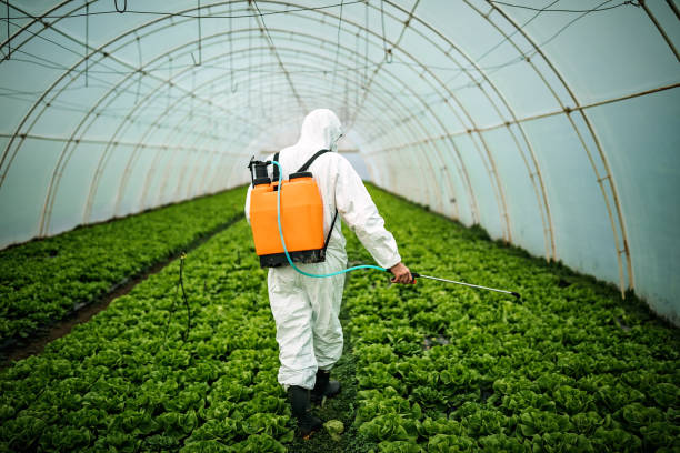 Pest Control for Restaurants in Paradise, NV