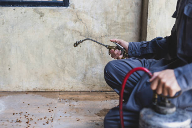 Professional Pest Control in Paradise, NV