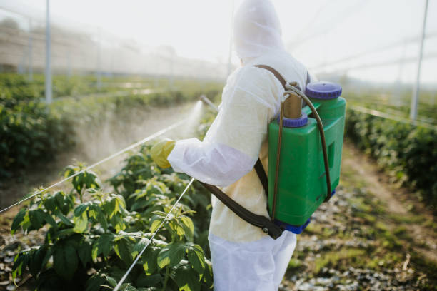 Best Best Pest Control Companies  in Paradise, NV